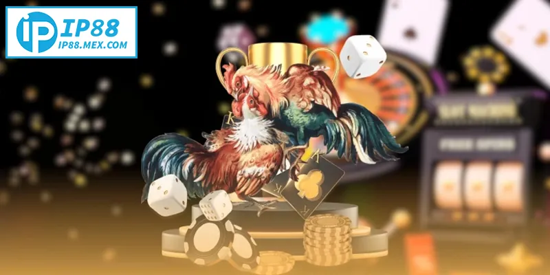 Đá Gà IP88 – Đấu Trường Đá Gà Trực Tuyến Hấp Dẫn